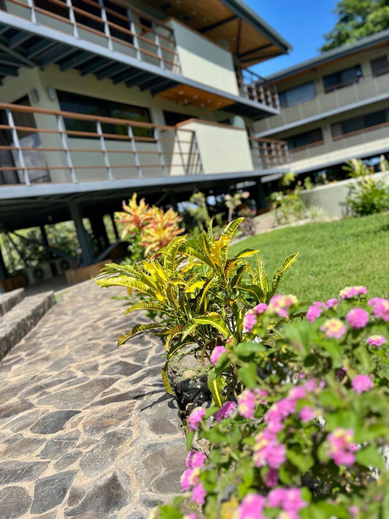 Southern Drake Lodge Drake Bay ภายนอก รูปภาพ