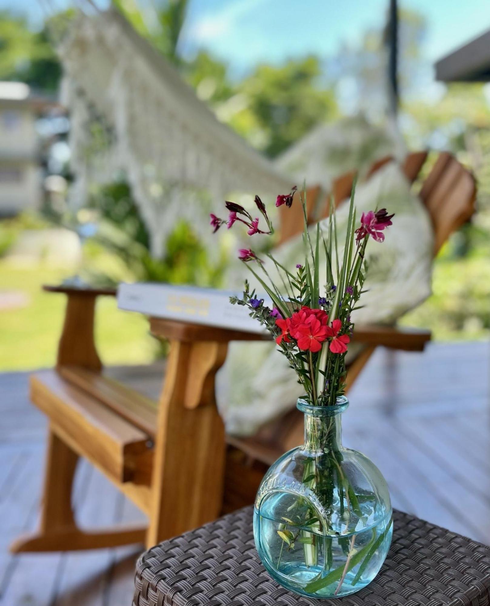 Southern Drake Lodge Drake Bay ภายนอก รูปภาพ