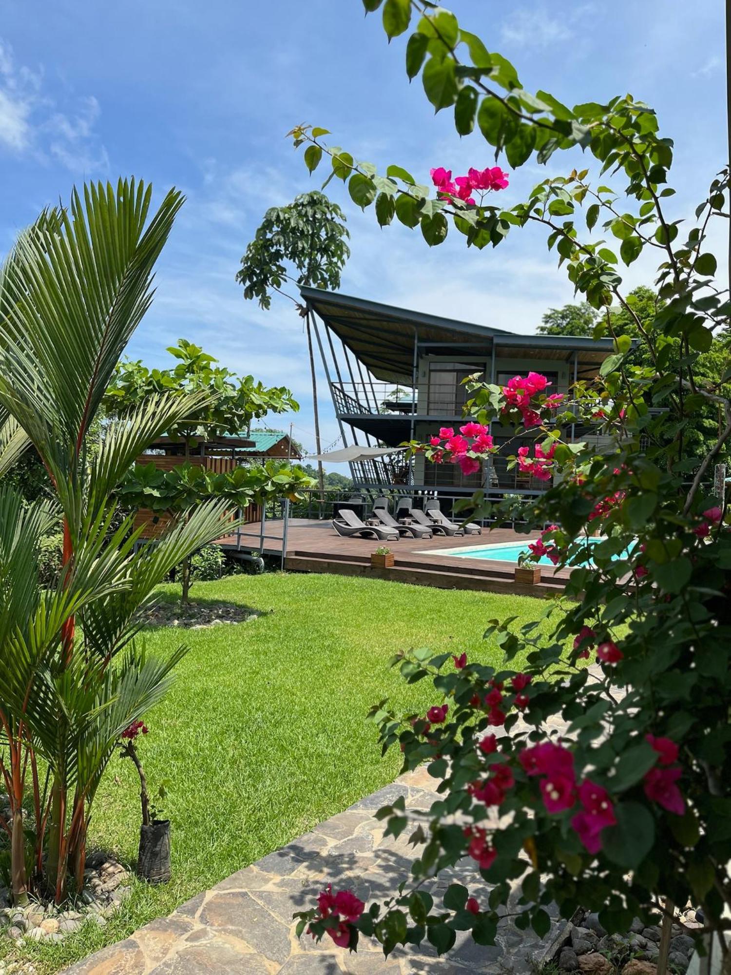 Southern Drake Lodge Drake Bay ภายนอก รูปภาพ